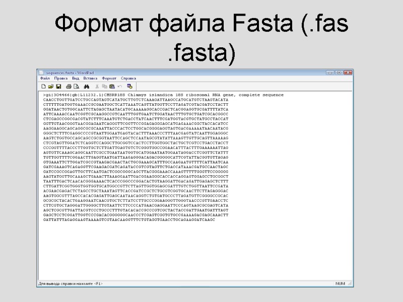 Формат файла Fasta (.fas  .fasta)